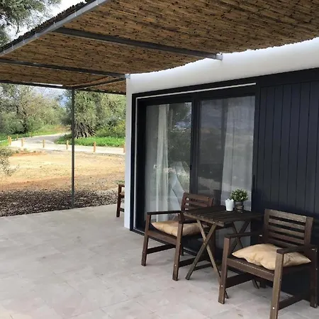 Monte Oliva -