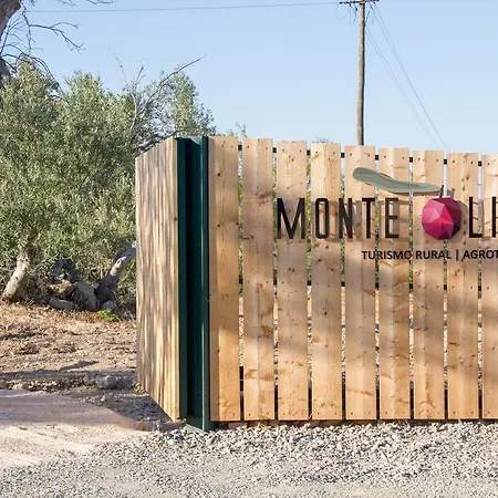 Monte Oliva - Santo Estevao (Faro)