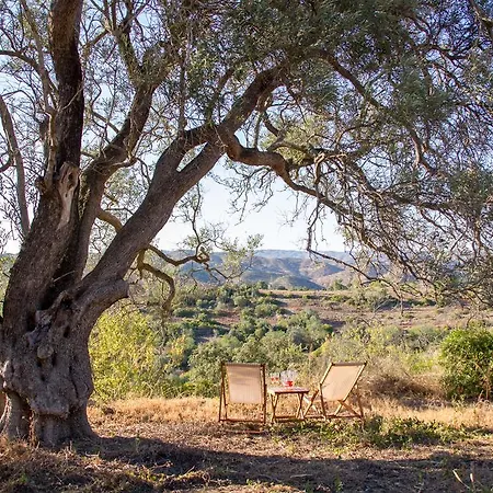 Alojamento de Turismo Rural Monte Oliva -